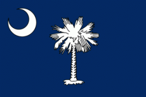 grandparents rights in south carolina